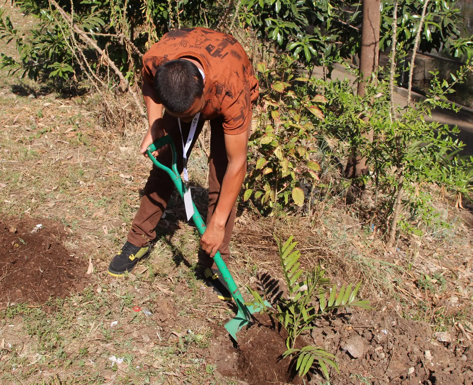 Community volunteers in action
